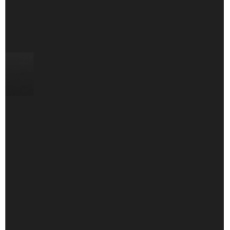 Backcover Glas für iPhone 16 Pro Max mit Magnet & Linse