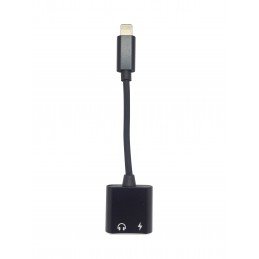 Lightning Adapter 2-in-1