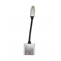 Lightning Adapter 2-in-1