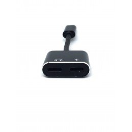 Lightning Adapter 2-in-1