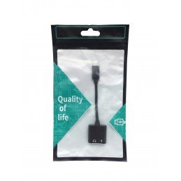 Lightning Adapter 2-in-1
