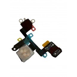 Kamera am iPhone reparieren mit oder ohne Blitzlicht?