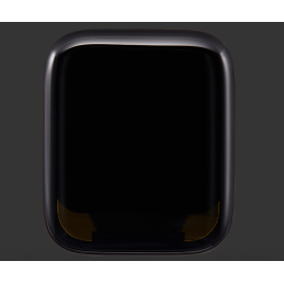 Display für Apple Watch Serie 5/SE2020 44mm Original Refurbished Schwarz