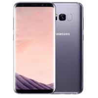 S8 Plus (G955F)