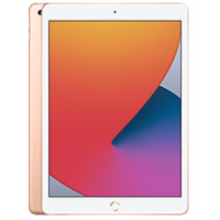 iPad 10.2" (8. Gen) (2020)