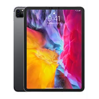 iPad Pro 11 "(2nd Gen) (2020)