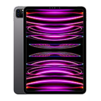 iPad Pro 11" (4. Gen) (2022)