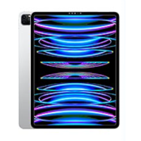 iPad Pro 12.9" (6. Gen) (2022)