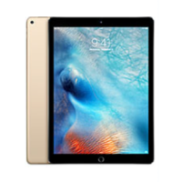 iPad Pro 12.9" (1. Gen) (2015)
