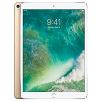 iPad Pro 10.5 "(1st Gen) (2017)