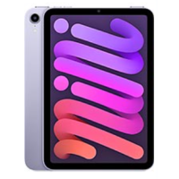 iPad Mini 8.3" (6. Gen) (2021)
