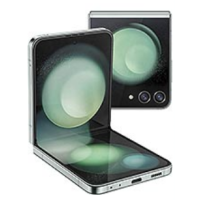 Z Flip 5 (F731B)
